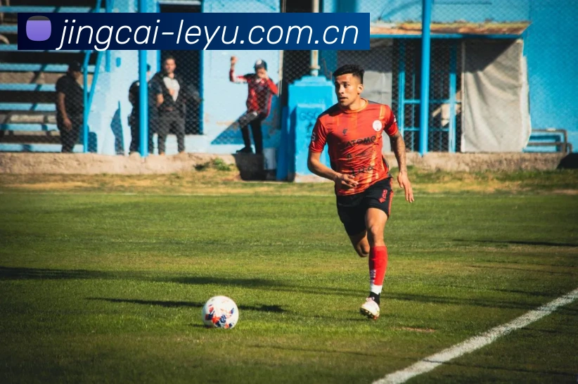 App Interface Preview